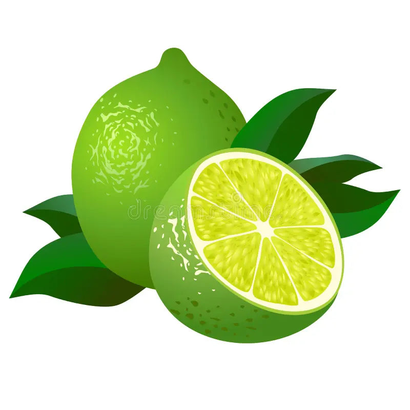 Organic KEY LIME Lip Balm