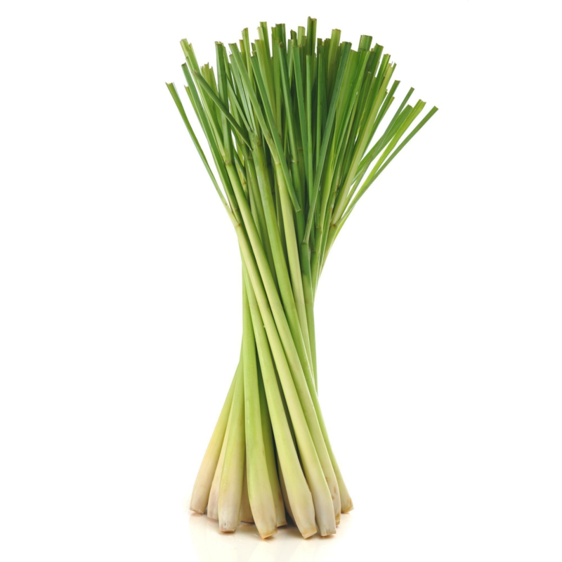 Thai Lemongrass | Cymbopogon flexuosus 100% ESSENTIAL OIL | Eo Cosmetics and Health