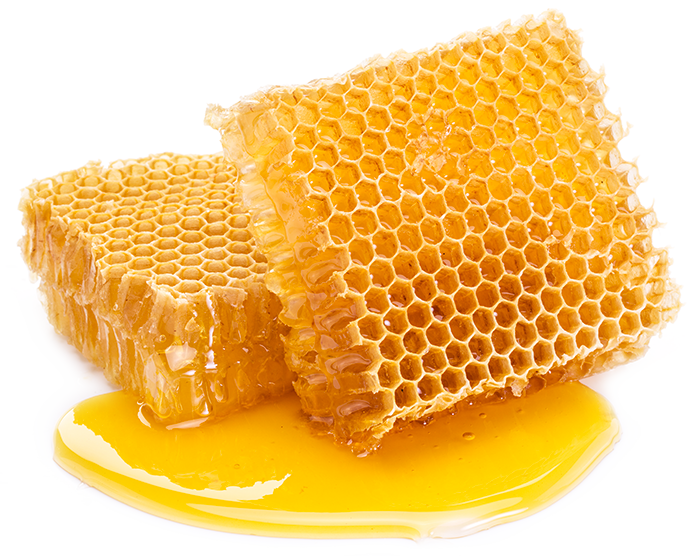 Organic BEES WAX Lip Balm