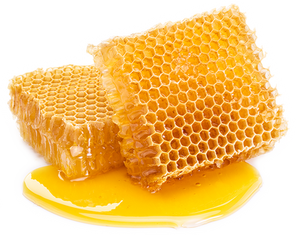 Organic BEES WAX Lip Balm