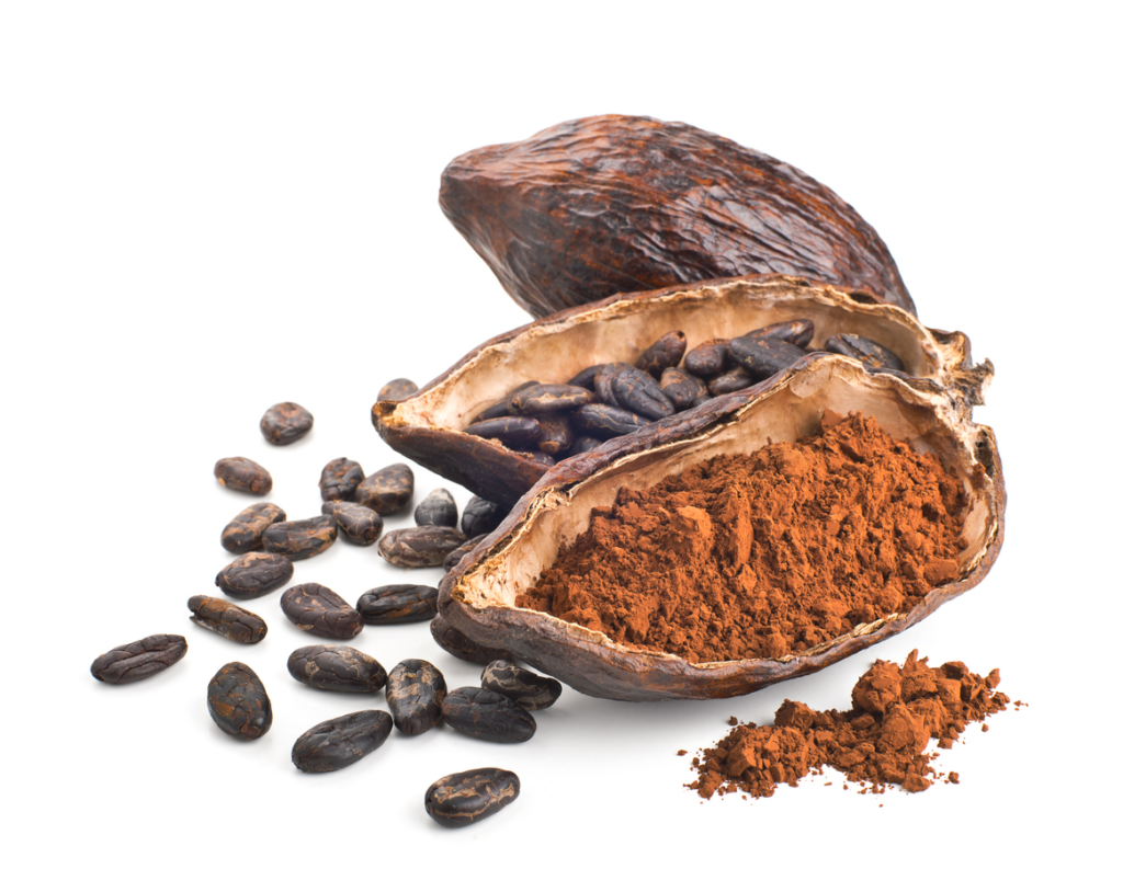 Chocolate Cocoa | Theobroma cacao | 100% ESSENTIAL OIL | Eo Cosmetics and Health