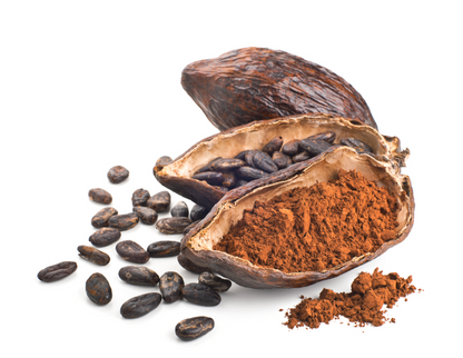 Chocolate Cocoa | Theobroma cacao | 100% ESSENTIAL OIL | Eo Cosmetics and Health
