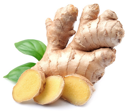 Thai Ginger | Zingiber officinalis | 100% ESSENTIAL OIL | Eo Cosmetics and Health