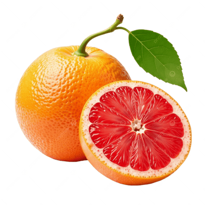 Organic GRAPEFRUIT Lip Balm
