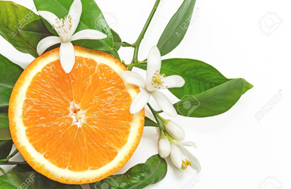 Sweet Orange Blossom | Citrus x sinesis 100% | ESSENTIAL OIL | Eo Cosmetics and Health
