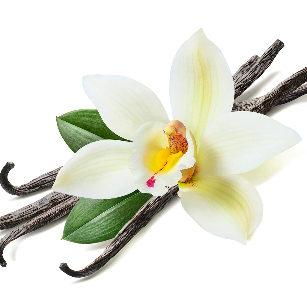 Madagascar Vanilla Bean | Vanilla planifolia 100% ESSENTIAL OIL Eo Cosmetics and health